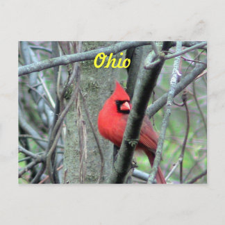Cartão Postal Cartão-postal de Ohio