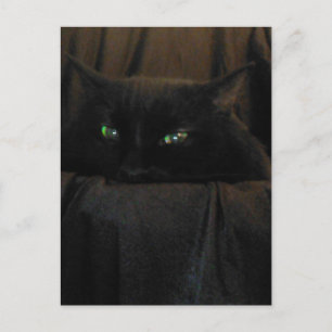 Cartão Postal Cartão-postal de Olhos de Gato Verde