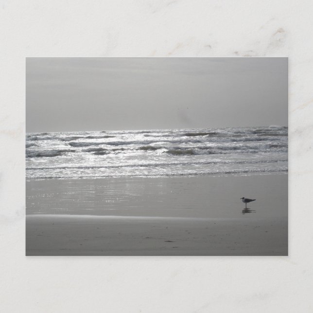 Cartão Postal Cartão-postal de Ondas de Escuta (Frente)