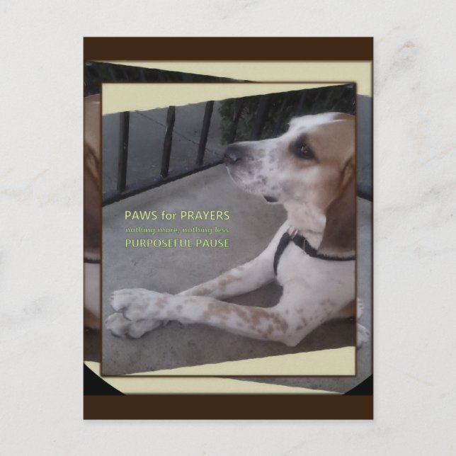 Cartão Postal Cartão-postal de Oração Cão (Frente)