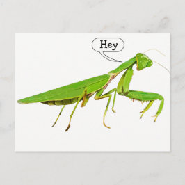 Cartão Postal Cartão-postal de oração verde gigante