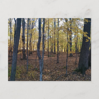 Cartão Postal Cartão-postal de outono amarelo