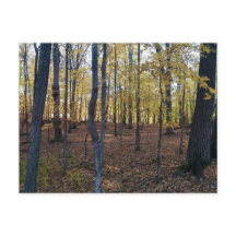 Cartão-postal de outono amarelo