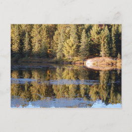Cartão Postal Cartão-postal de Paisagem Algonquin