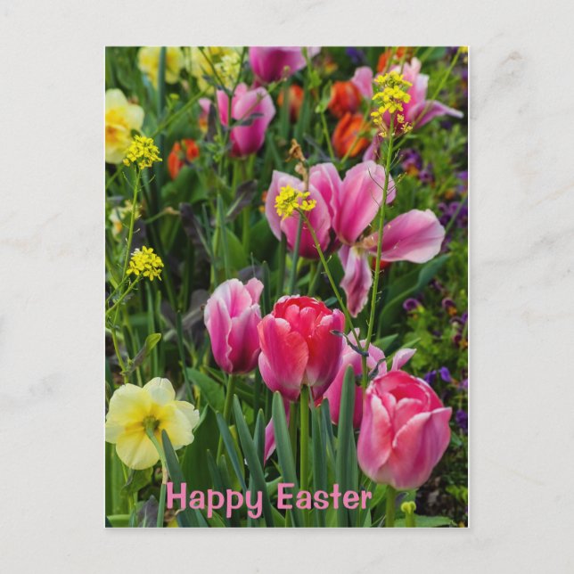 Cartão Postal Cartão-postal de Páscoa das Flores de Mola (Frente)