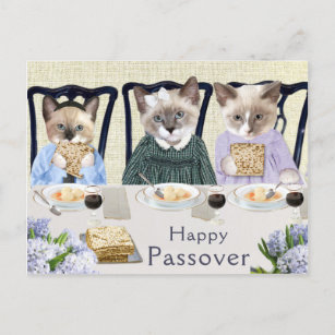 Cartão Postal Cartão-postal de passagem de Kittens