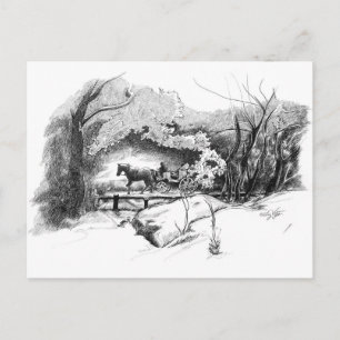 Cartão Postal Cartão-postal de passeio pelo Central Park