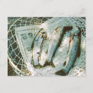 Cartão Postal Cartão-postal de pesca retrô e de truta