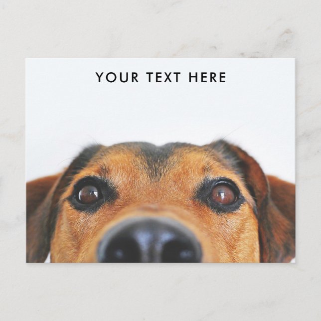 Cartão Postal Cartão-postal de pico da face de cãozinho (Frente)