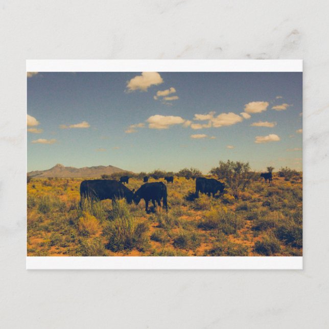 Cartão Postal Cartão-postal de pico de cookes 07 (Frente)