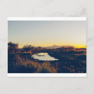 Cartão Postal Cartão-postal de pico de cookes 08