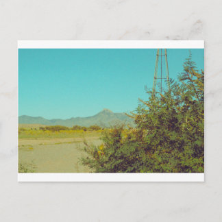 Cartão Postal Cartão-postal de pico de cookes 10