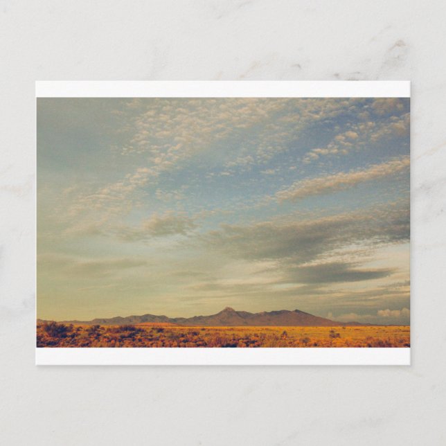 Cartão Postal Cartão-postal de pico de cookes 13 (Frente)