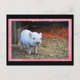 Cartão Postal Cartão-postal de Piglet Cor-de-rosa-branca