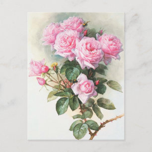 Cartão Postal Cartão-postal de pintura de rosas cor-de-rosa-vind