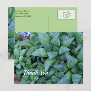 Cartão Postal Cartão-postal de planta verde e bem-sucedido