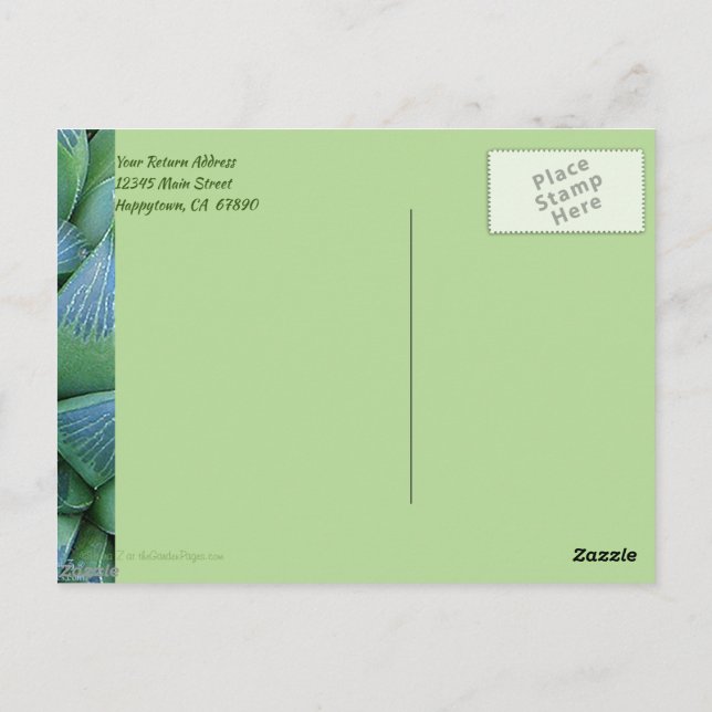 Cartão Postal Cartão-postal de planta verde e bem-sucedido (Verso)