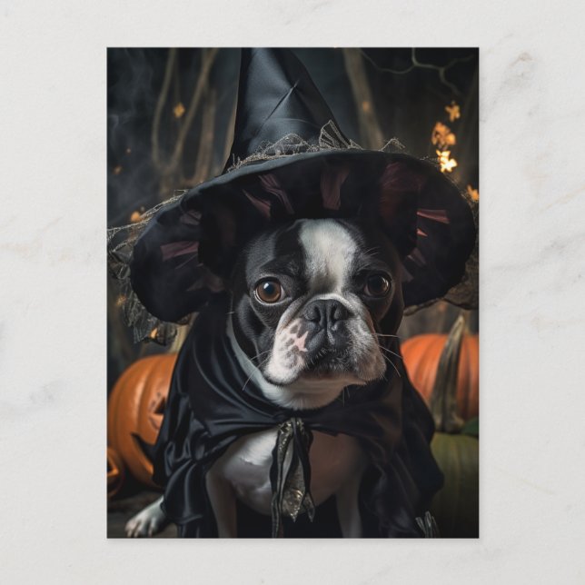 Cartão Postal Cartão-postal de porco Halloween Boston Terrier (Frente)