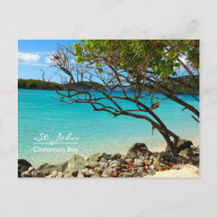 Cartão Postal Cartão-postal de praia John USVI Cinnamon Bay