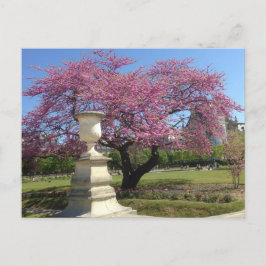 Cartão Postal Cartão-postal de primavera em Paris