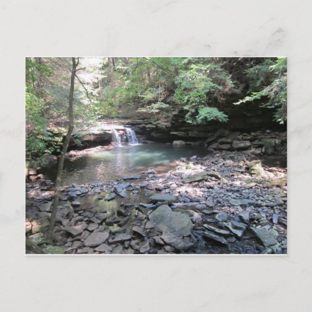 Cartão Postal Cartão-postal de Primaveras Beersheba (Frente)