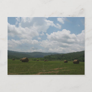 Cartão Postal Cartão-postal de Primaveras Beersheba