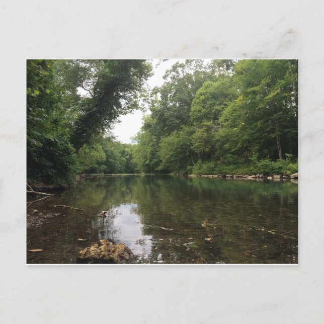 Cartão Postal Cartão-postal de Primaveras Beersheba (Frente)