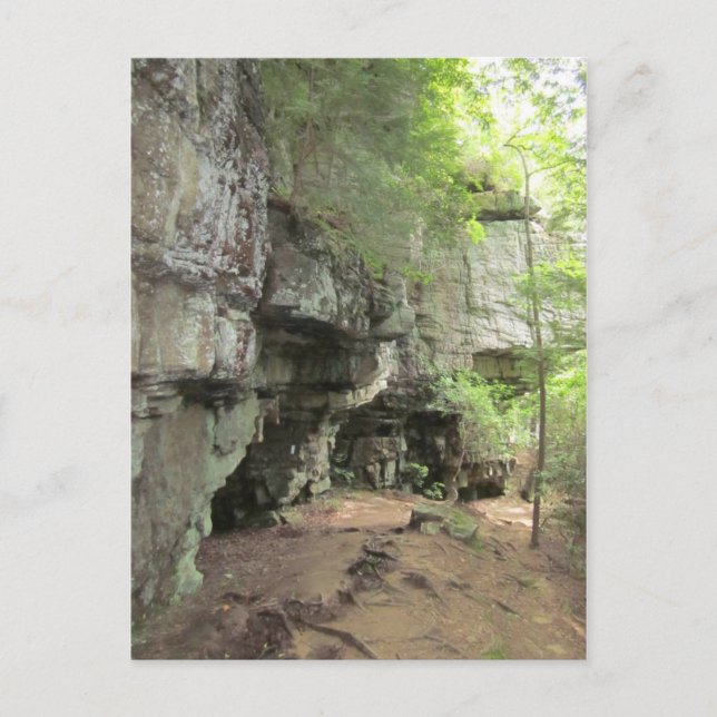 Cartão Postal Cartão-postal de Primaveras Beersheba (Frente)