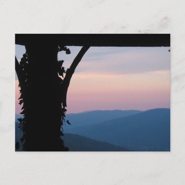 Cartão Postal Cartão-postal de Primaveras Beersheba (Frente)