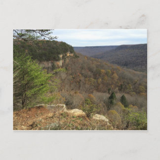 Cartão Postal Cartão-postal de Primaveras Beersheba