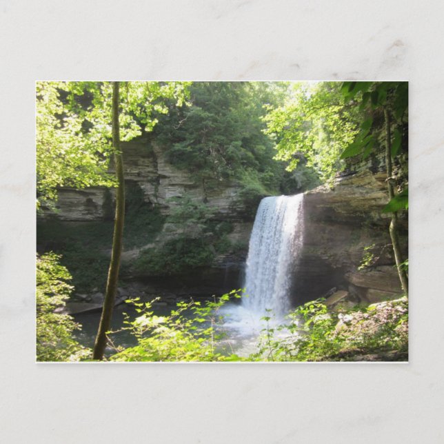 Cartão Postal Cartão-postal de Primaveras Beersheba (Frente)