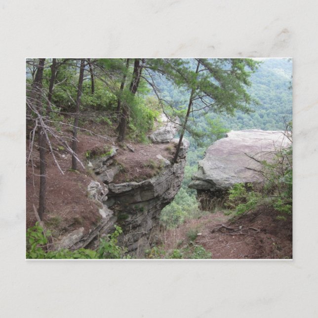 Cartão Postal Cartão-postal de Primaveras Beersheba (Frente)