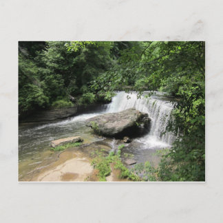 Cartão Postal Cartão-postal de Primaveras Beersheba