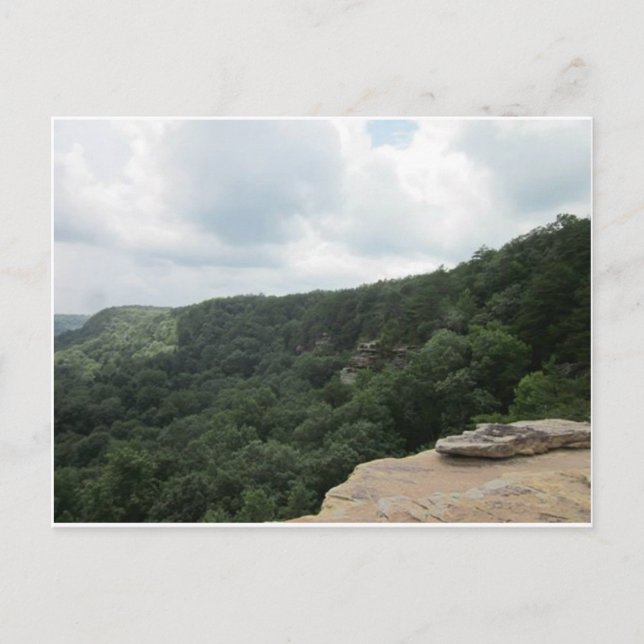 Cartão Postal Cartão-postal de Primaveras Beersheba (Frente)