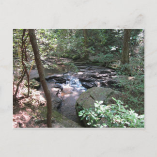 Cartão Postal Cartão-postal de Primaveras Beersheba