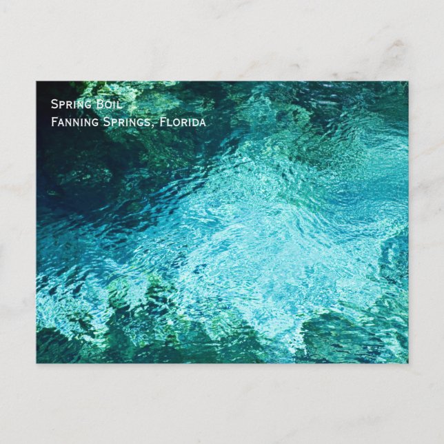 Cartão Postal Cartão-postal de Primaveras de Propagação (Frente)