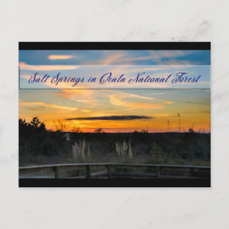 Cartão Postal Cartão-postal de Primaveras Salgados