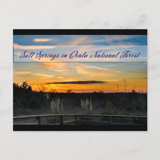 Cartão Postal Cartão-postal de Primaveras Salgados (Frente)