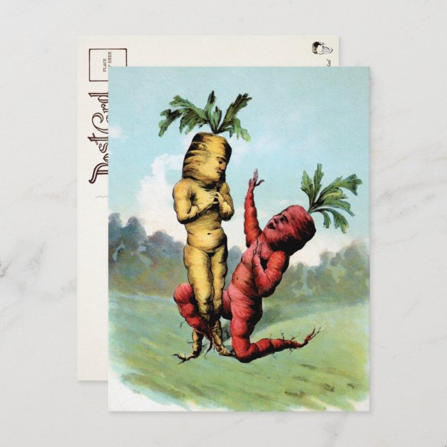 Cartão Postal Cartão-postal de Proposta de Cenoura Vitoriana  (Frente/Verso)
