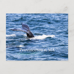 Cartão Postal Cartão-postal de Provincetown