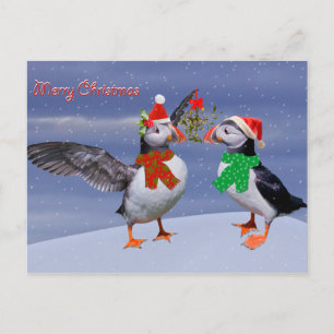 Cartão Postal Cartão-postal de Puffins Estitivos