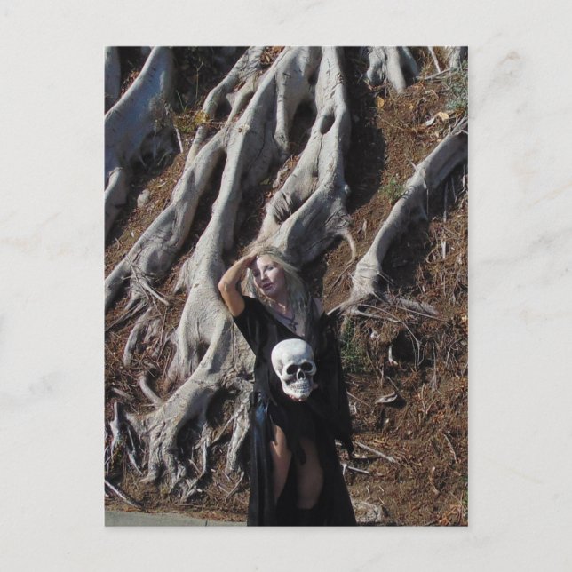 Cartão Postal Cartão-postal de Raízes Vamplificadas (Frente)