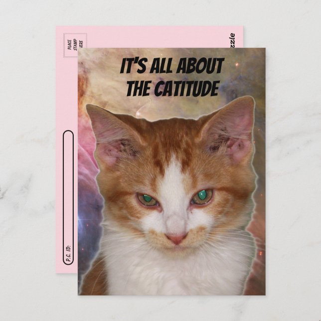 Cartão Postal Cartão-postal de Reba (Frente/Verso)