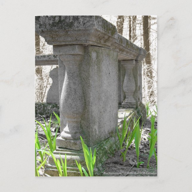 Cartão Postal Cartão-postal de Reclamação (Frente)