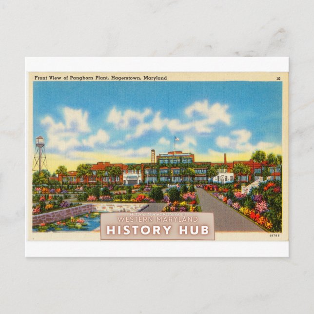 Cartão Postal Cartão-postal de reimpressão histórica da planta n (Frente)