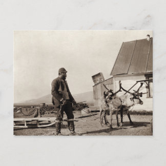 Cartão Postal Cartão-postal de Reindeer