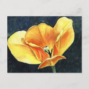 Cartão Postal Cartão-postal de reprodução de arte florida Ope