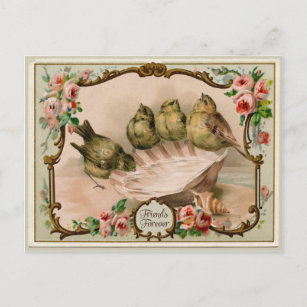 Cartão Postal Cartão-postal de reprodução de aves para sempre