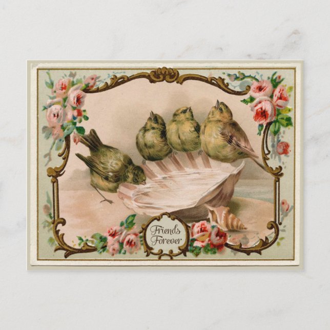 Cartão Postal Cartão-postal de reprodução de aves para sempre (Frente)