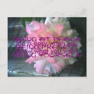 Cartão Postal Cartão-postal de Rosa de Paz
